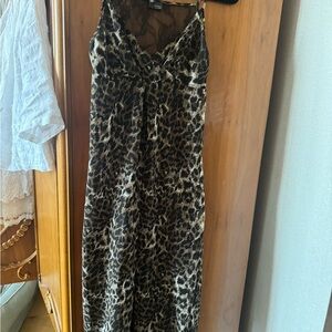 Sparkle & Fade leopard Black Lace Dress